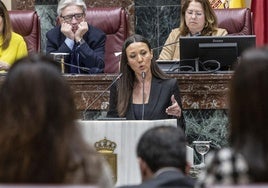 Carmen Conesa, este viernes, en la Asamblea Regional.