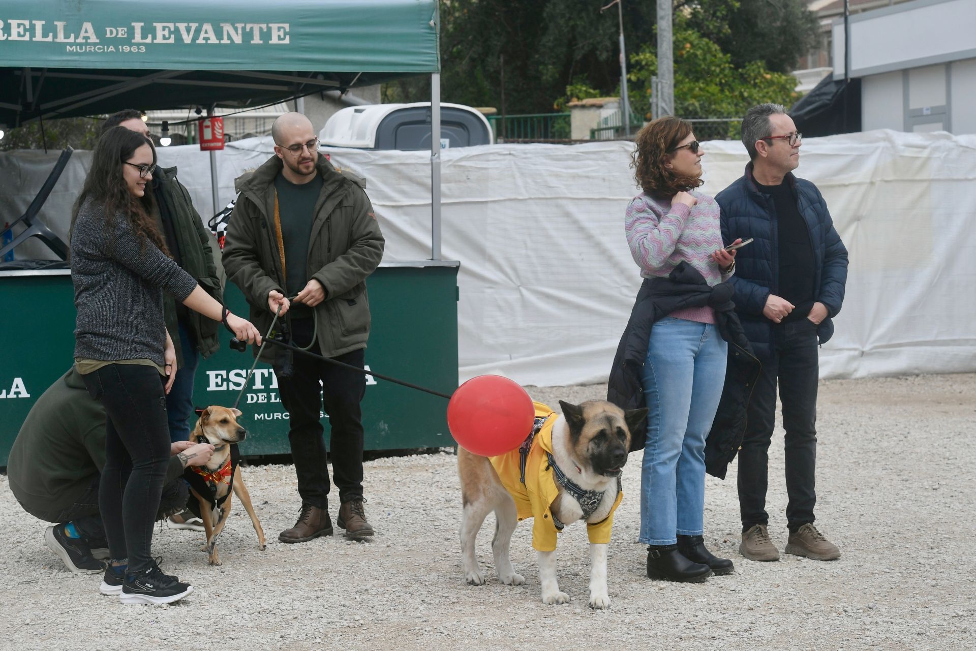 El Carnaval de mascotas de Cabezo de Torres, en imágenes