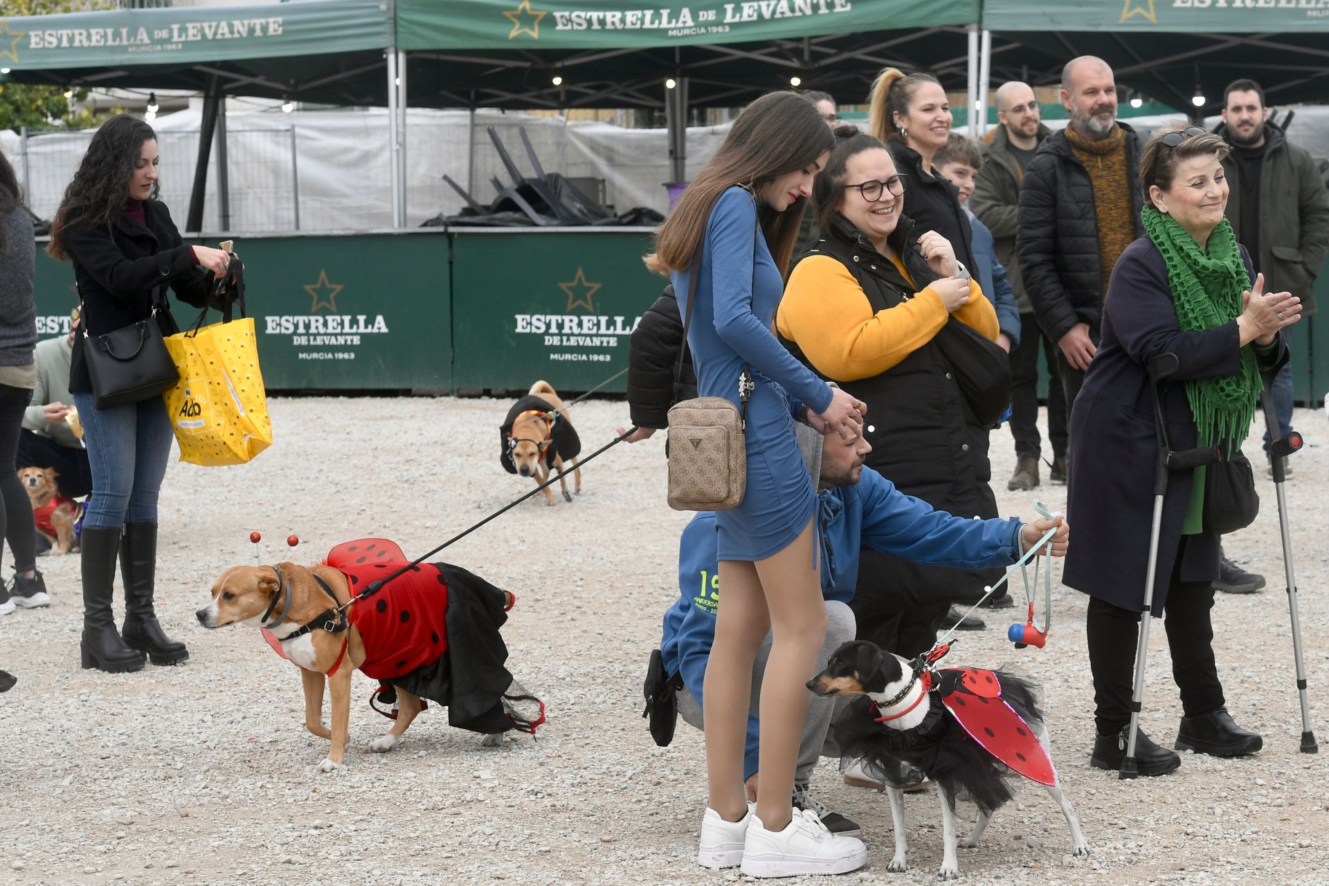 El Carnaval de mascotas de Cabezo de Torres, en imágenes