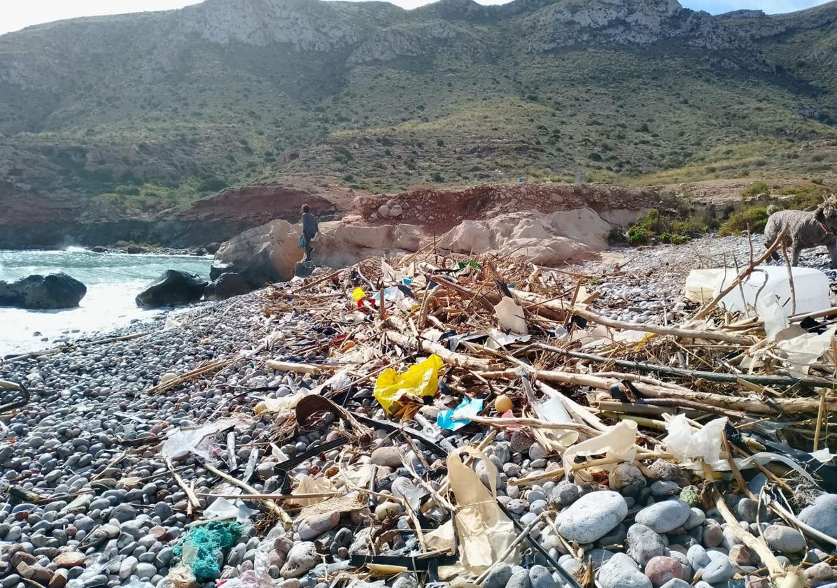 Imagen principal - Plásticos y restos vegetales en playas del litoral aguileño.