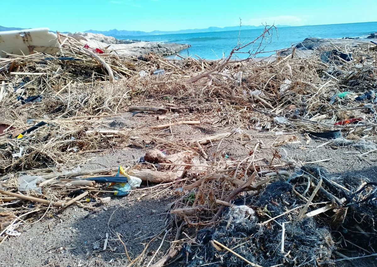 Imagen secundaria 1 - Plásticos y restos vegetales en playas del litoral aguileño.