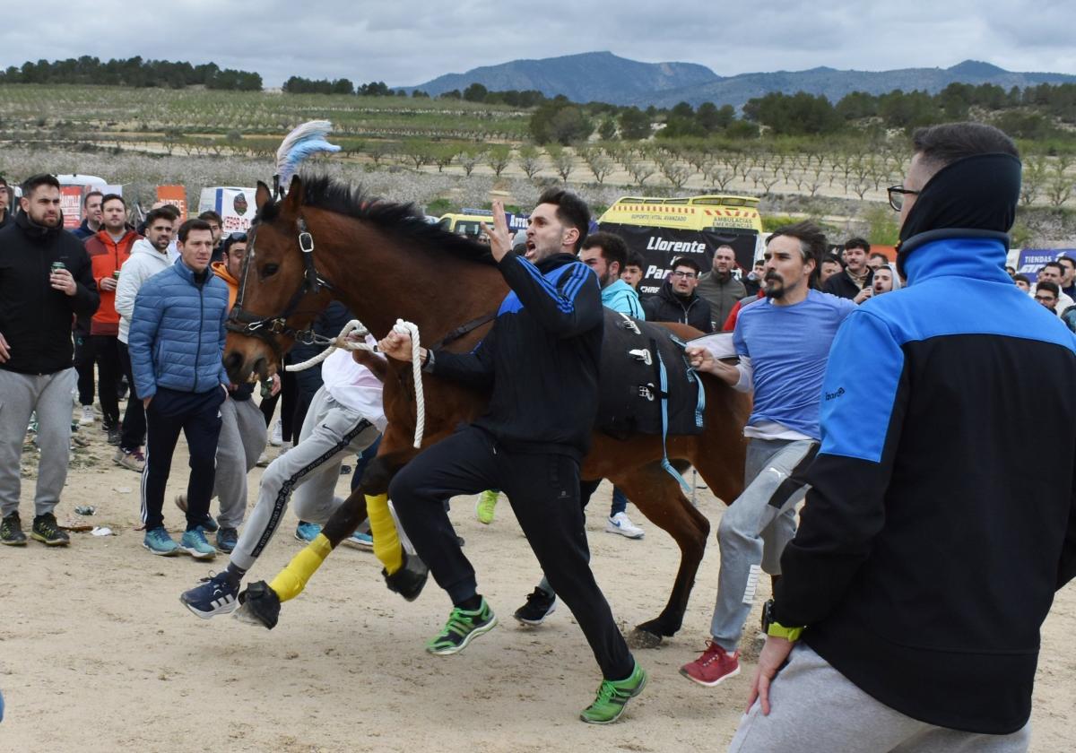 Miembros de una peña a la carrera, con su caballo, ayer.