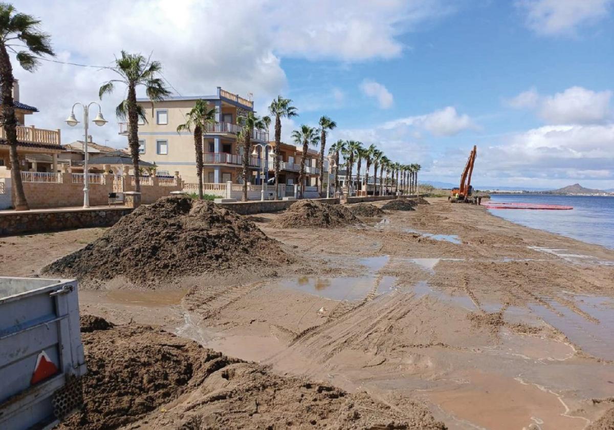 Máquinas extraen arena de la orilla en una playa de la orilla sur del Mar Menor.