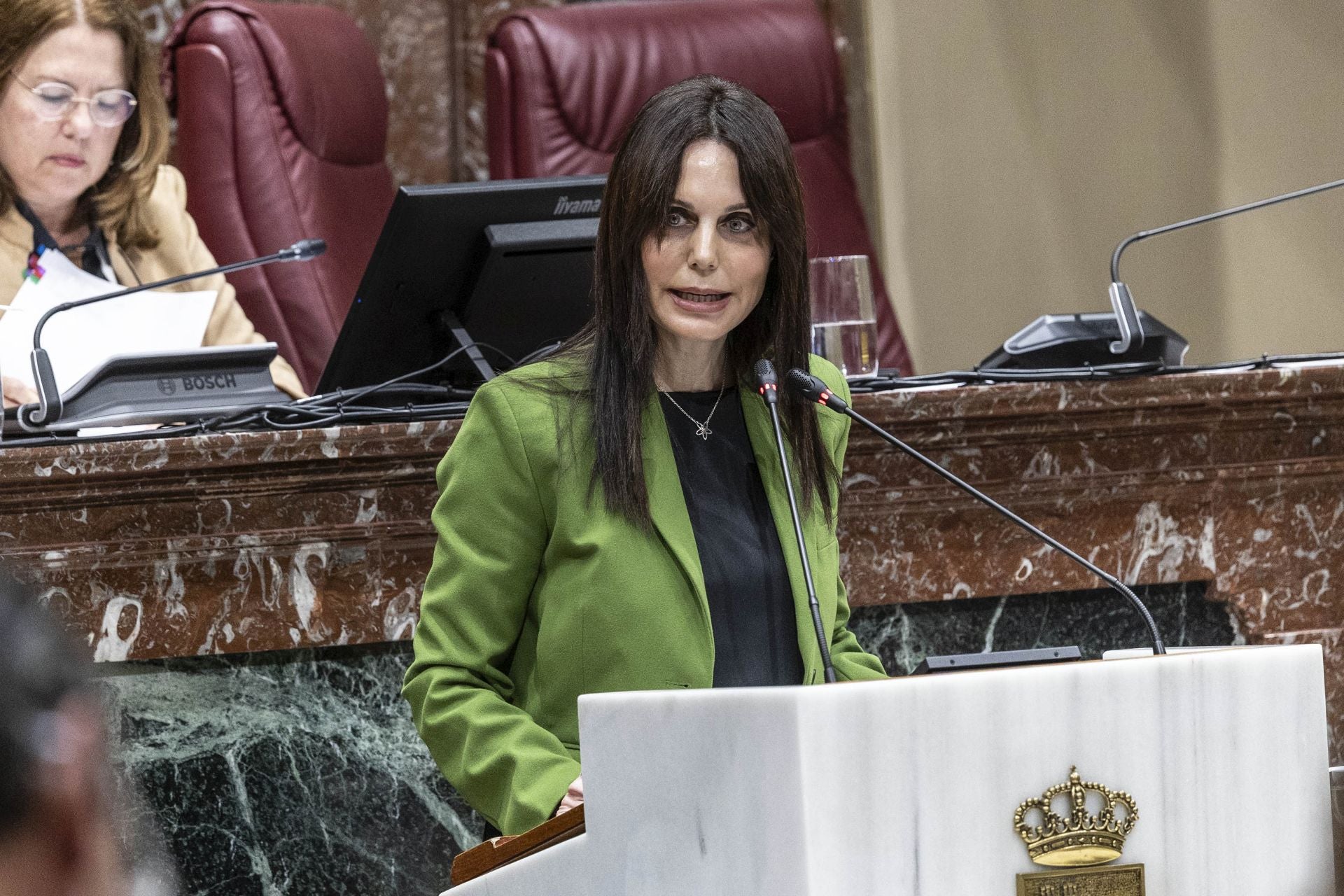 El Pleno de la Asamblea Regional de este viernes, en imágenes