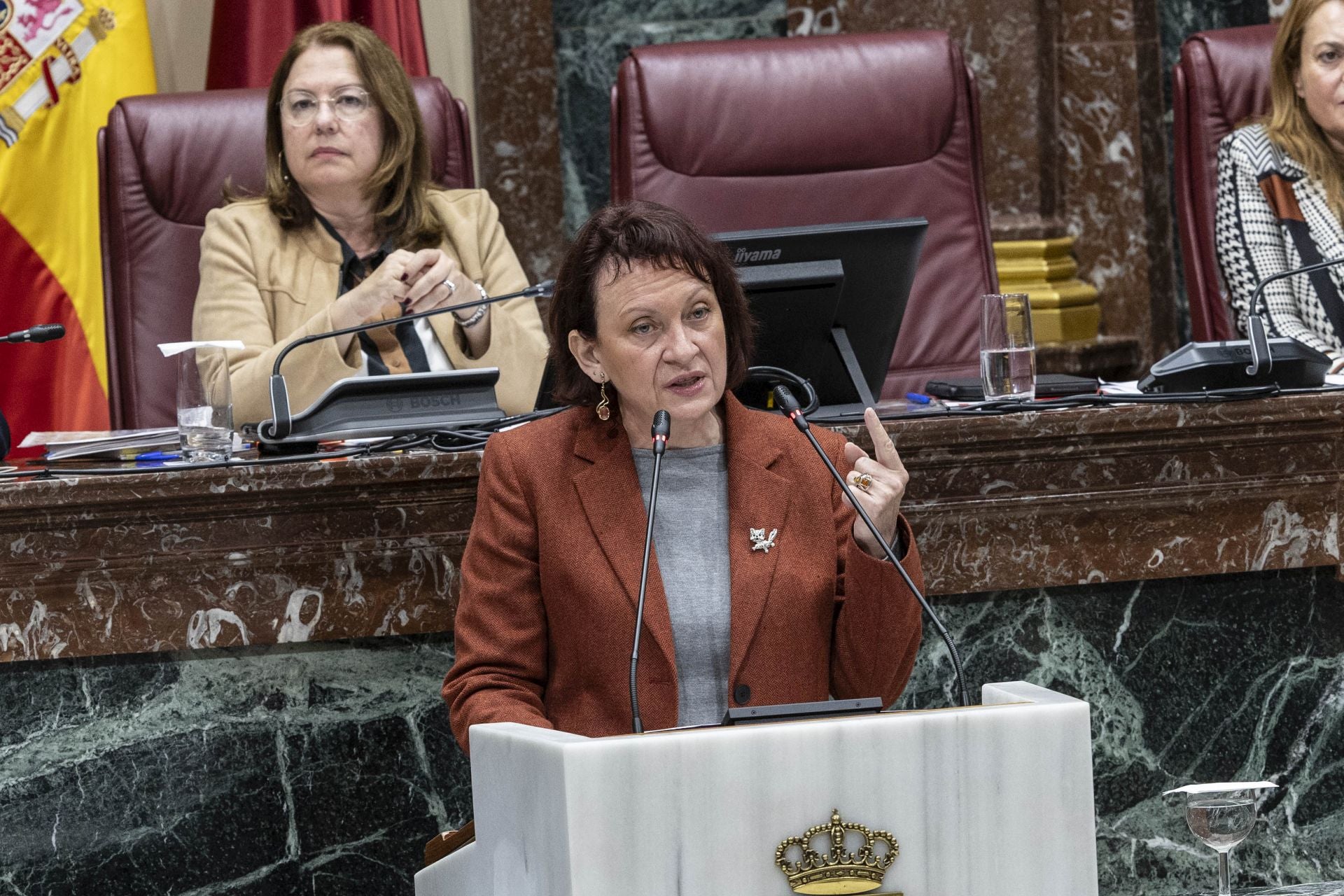 El Pleno de la Asamblea Regional de este viernes, en imágenes