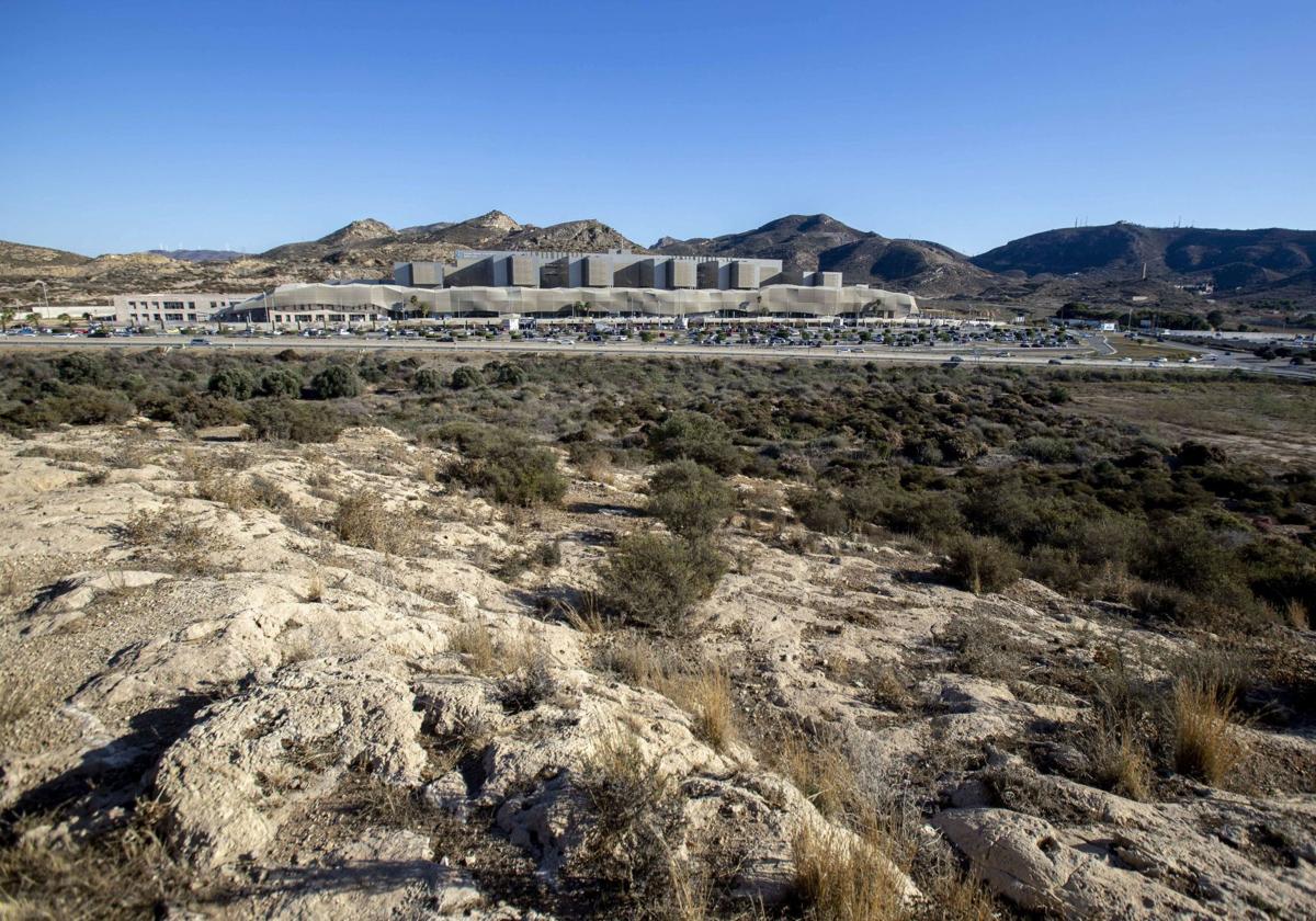 Imagen de los terrenos en los que está prevista la construcción de la Ciudad de la Justicia de Cartagena.