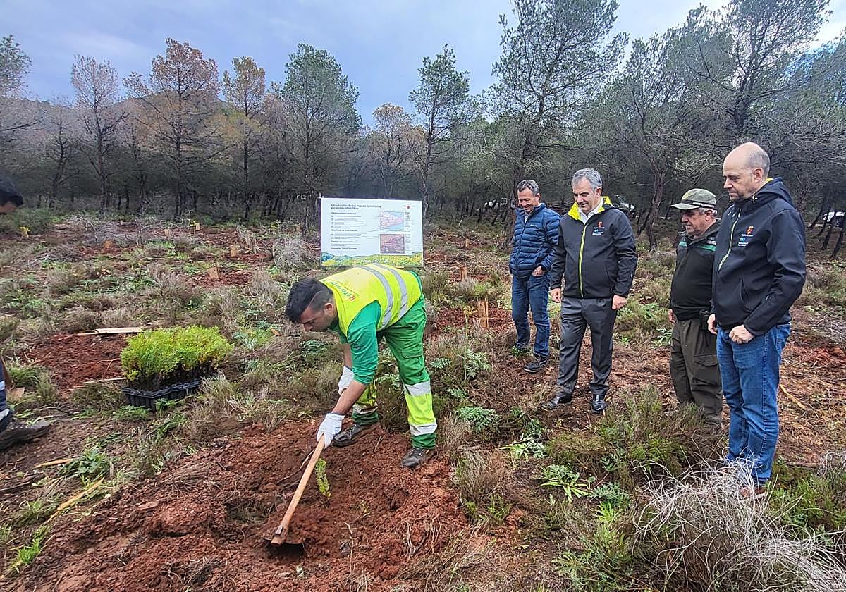 Juan María Vázquez, durante la visita a las actuaciones de reforestación que se están llevando a cabo en el parque regional de Calblanque este viernes.