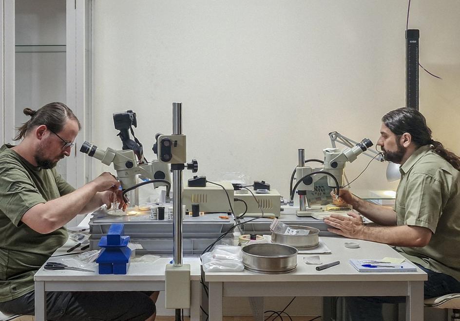 Ferrán Antolín (i), jefe del departamento de Ciencias Naturales del Instuto Arqueológico Alemán, estudia los restos vegetales hallados en La Almoloya.