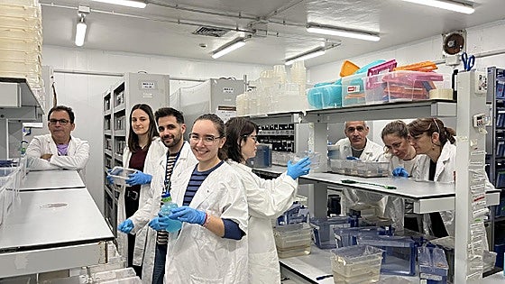 Un nuevo tratamiento accesible y eficaz para pacientes con anemias congénitas