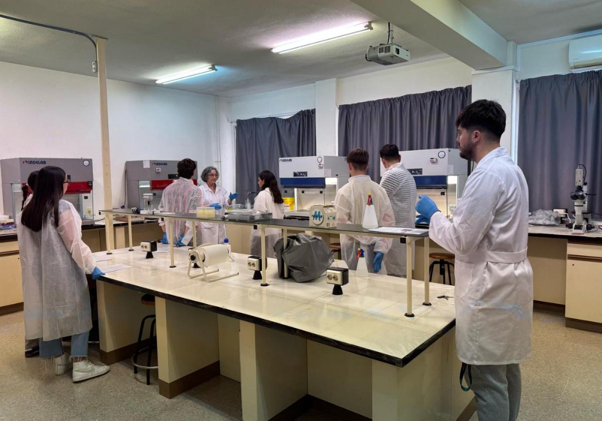 Alumnos de altas capacidades de secundaria buscan su vocación | la verdad