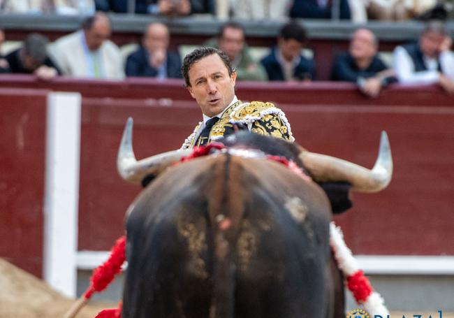 Rafaeillo, el año pasado en Las Ventas.