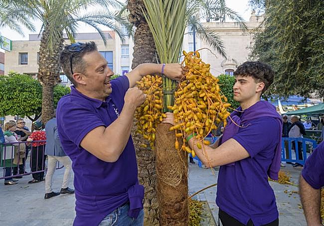 La Palmera de la Oración, con sus dátiles milagrosos.