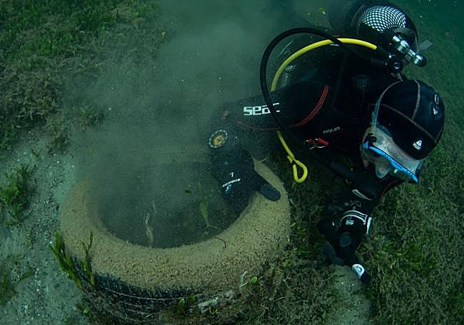 Un buceador del proyecto Mediterráneo Responsable, de Hippocampus, recoge una rueda del fondo.