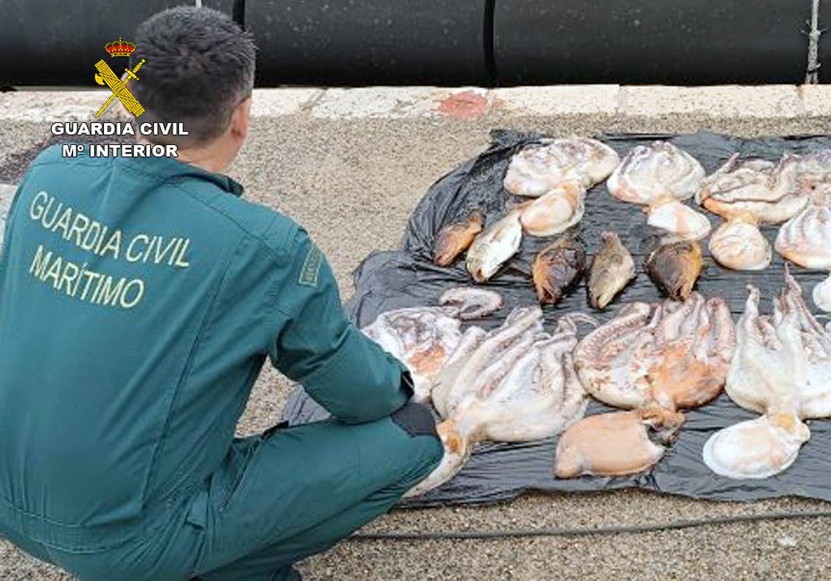 Pillan a un pescador con 30 kilos de pulpo en Cartagena