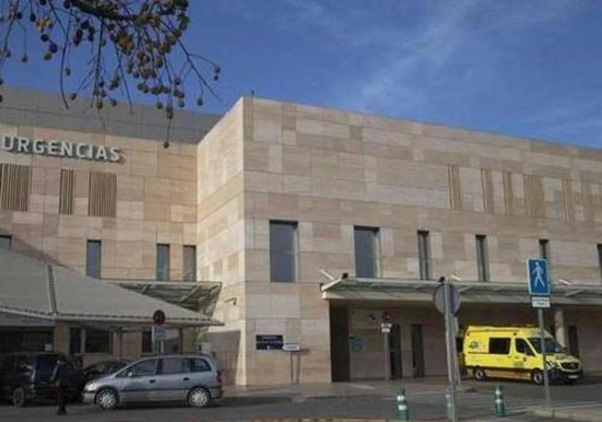 Herida una joven de 17 años y muere el caballo que montaba tras chocar con un autobús en Cartagena