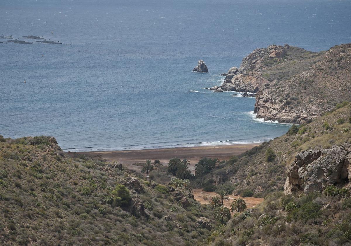 Luz verde ambiental a la ampliación de un vaso en el vertedero de el gorguel | la verdad