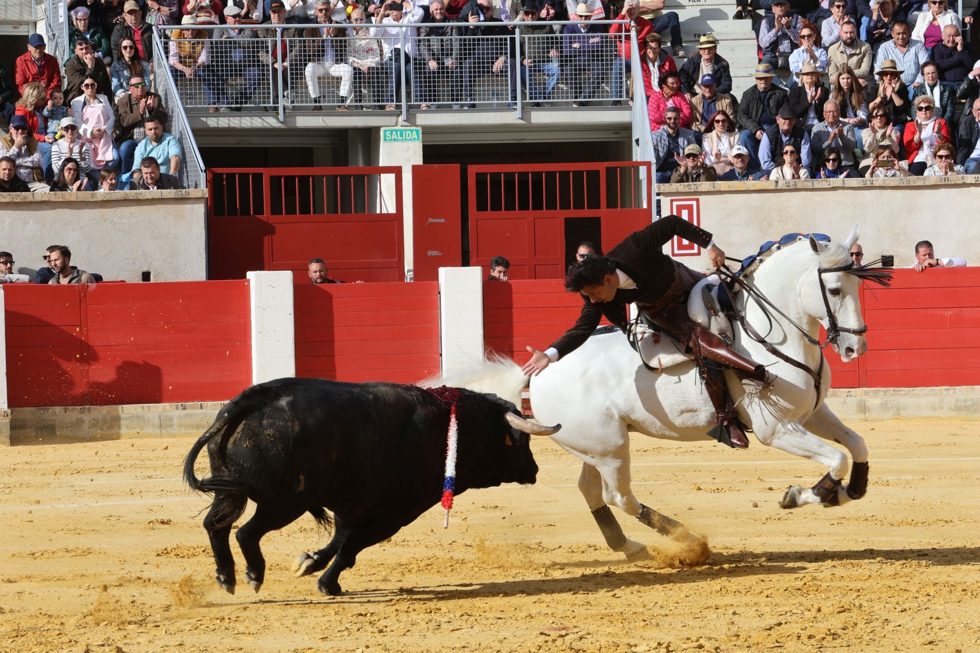 La corrida de toros de Lorca, en imágenes
