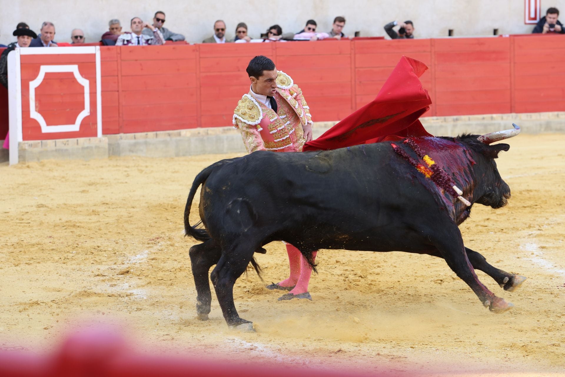 La corrida de toros de Lorca, en imágenes