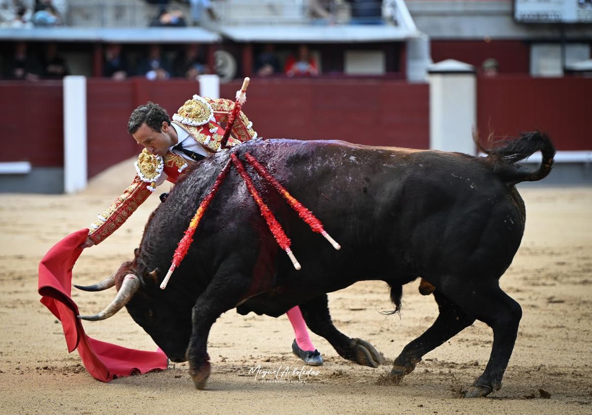 Imagen de Galeria 