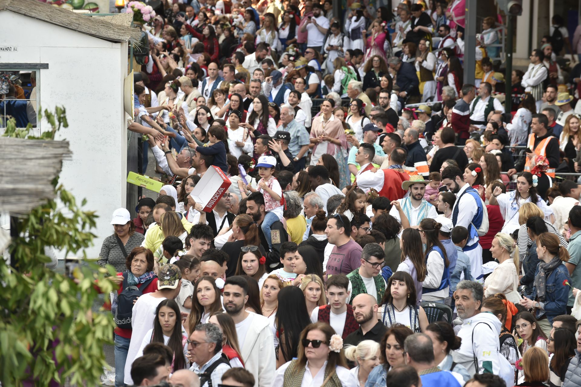 El desfile del Bando de la Huerta de Murcia, en imágenes