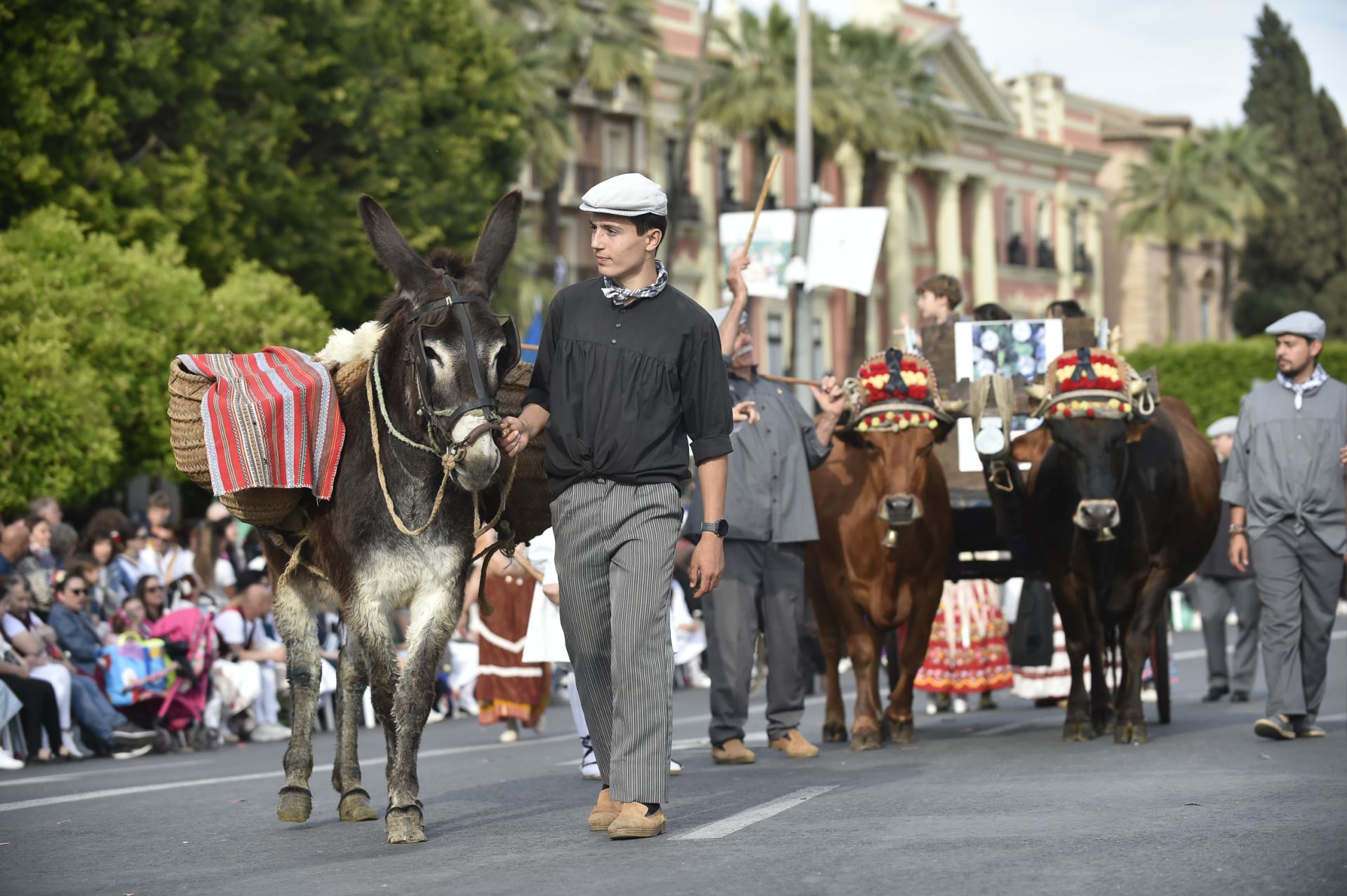 El desfile del Bando de la Huerta de Murcia, en imágenes