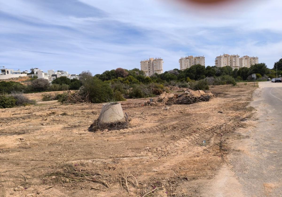 Desbrozan la parcela junto a la rambla del río Nacimiento, en Orihuela, que acogerá 64 adosados