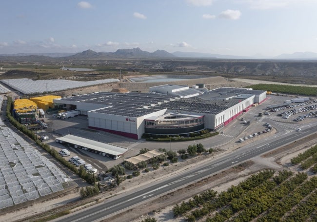 Instalaciones de El Ciruelo en Cieza.