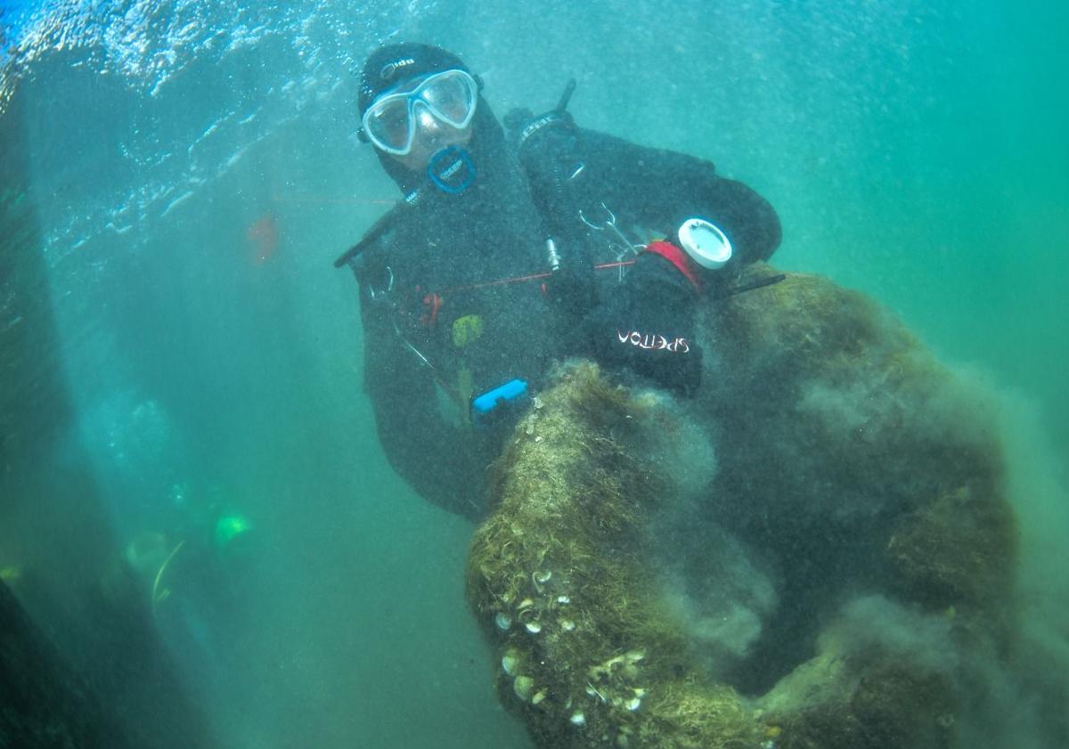 Imagen principal - Hippocampus y el Ejército del Aire retiran del fondo del mar en Mallorca más de 2.100 kilos de basura