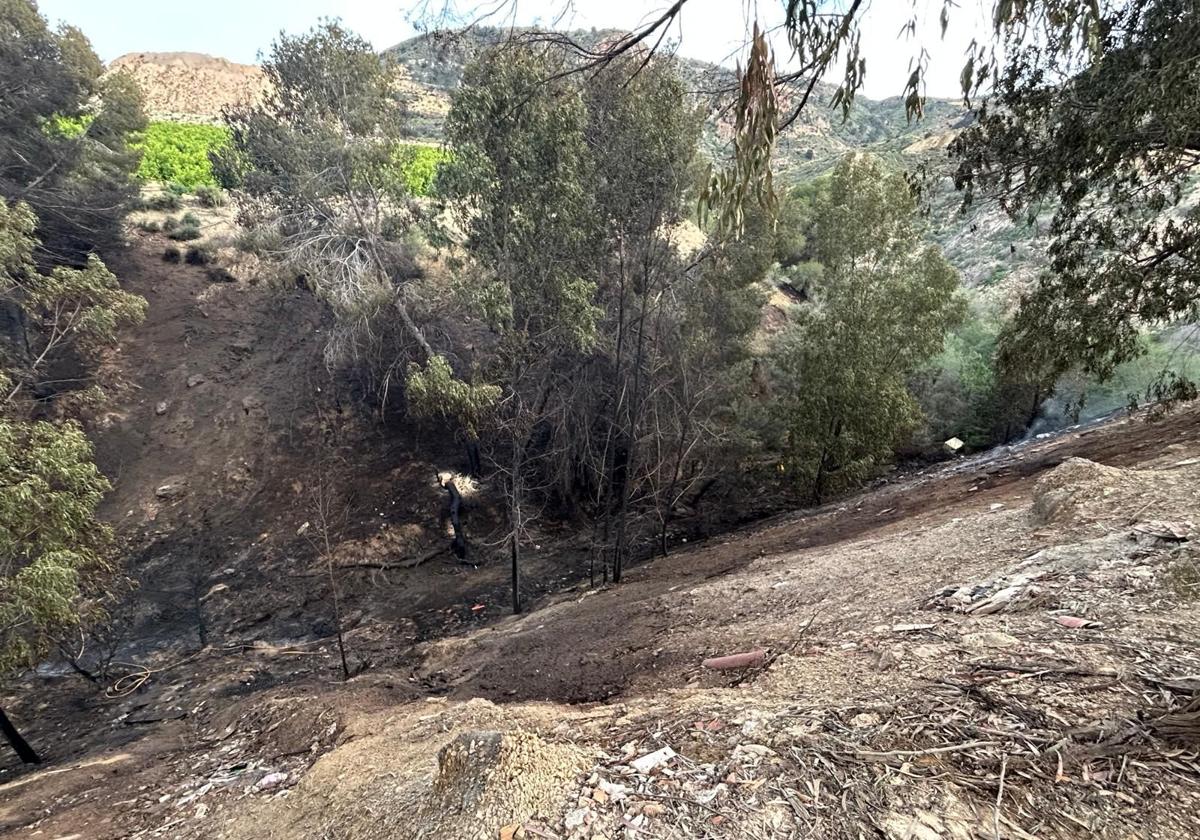 Un incendio forestal en la pedanía murciana de Los Ramos moviliza a efectivos de emergencias