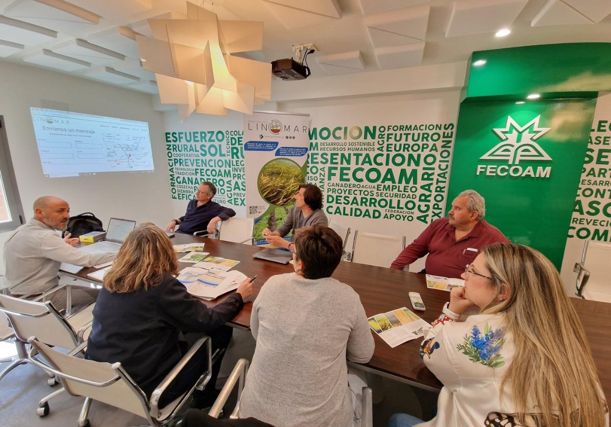 Reunión técnica de los integrantes de la iniciativa en la sede de Fecoam.