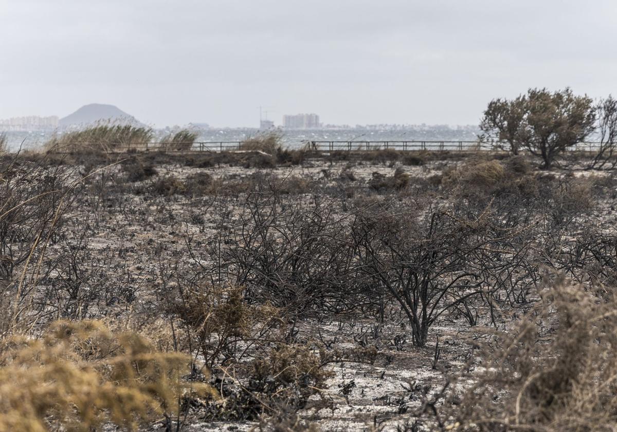 ¿Quién pegó fuego a La Hita?