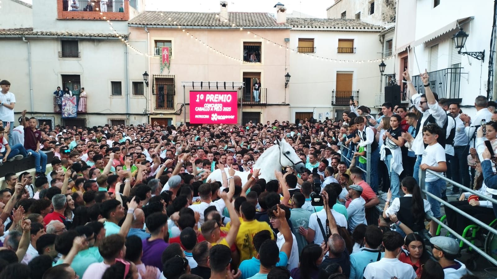 El desfile de Moros y Cristianos de Abanilla, en imágenes