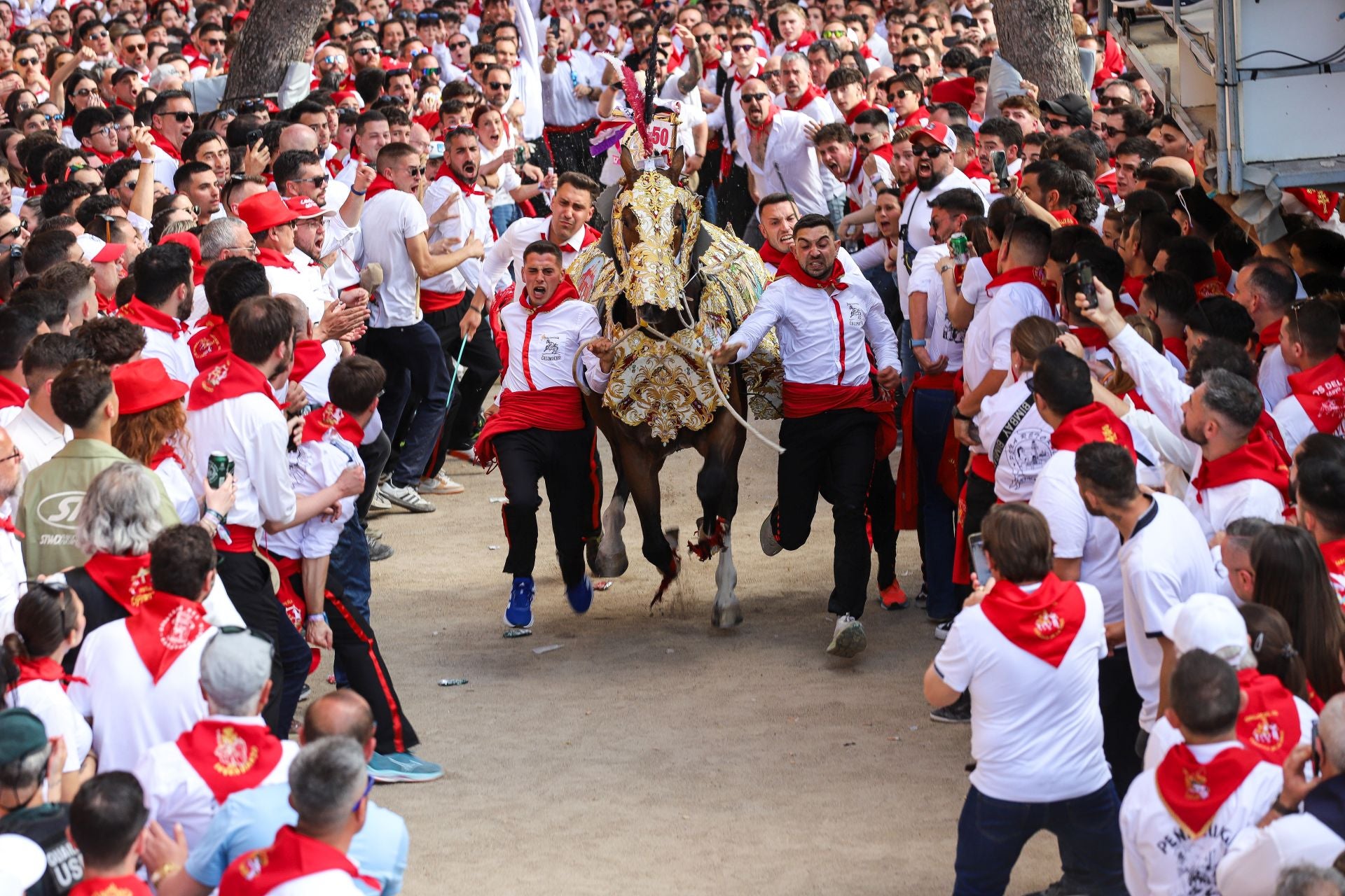 La carrera de los Caballos del Vino 2025, en imágenes
