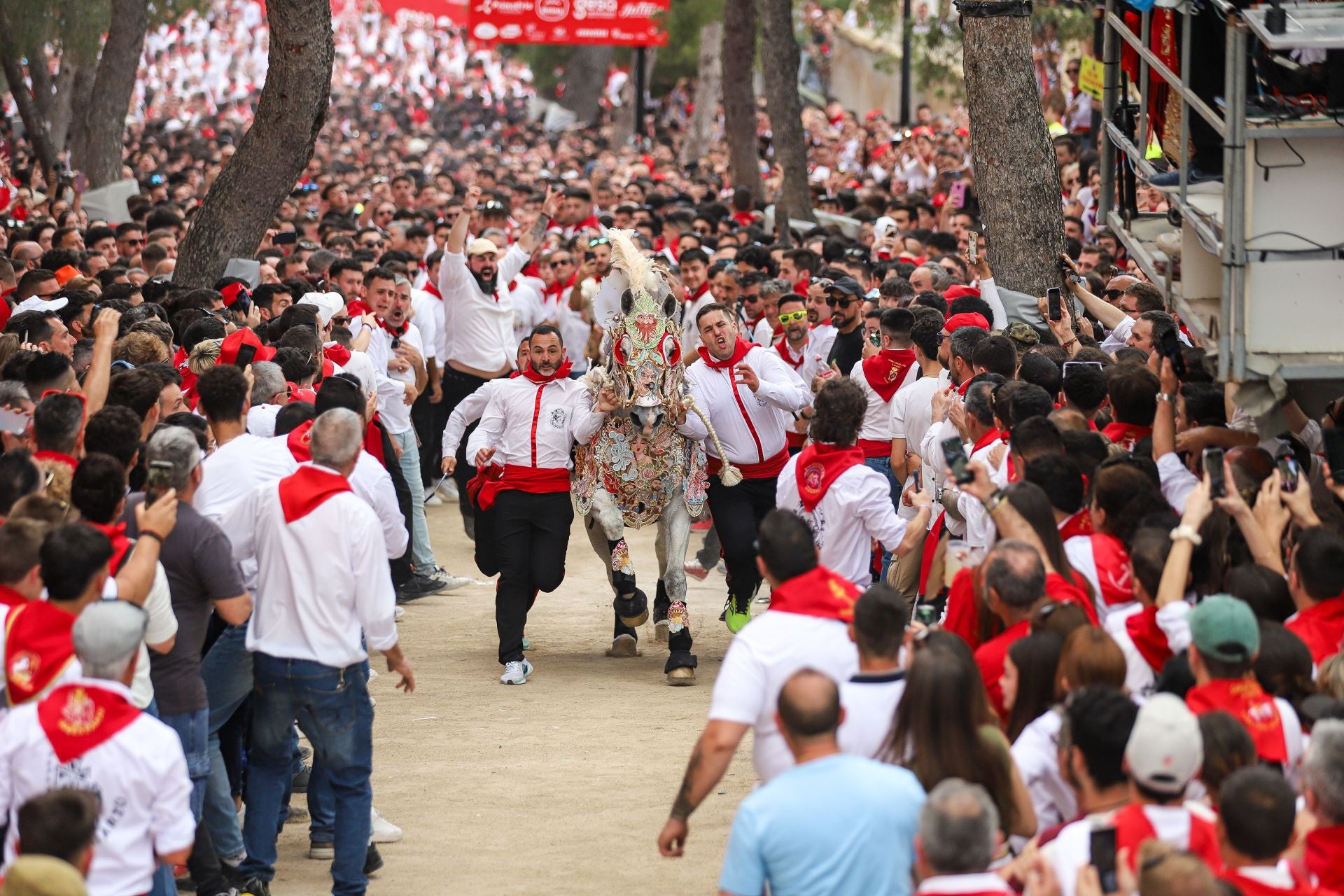 La carrera de los Caballos del Vino 2025, en imágenes