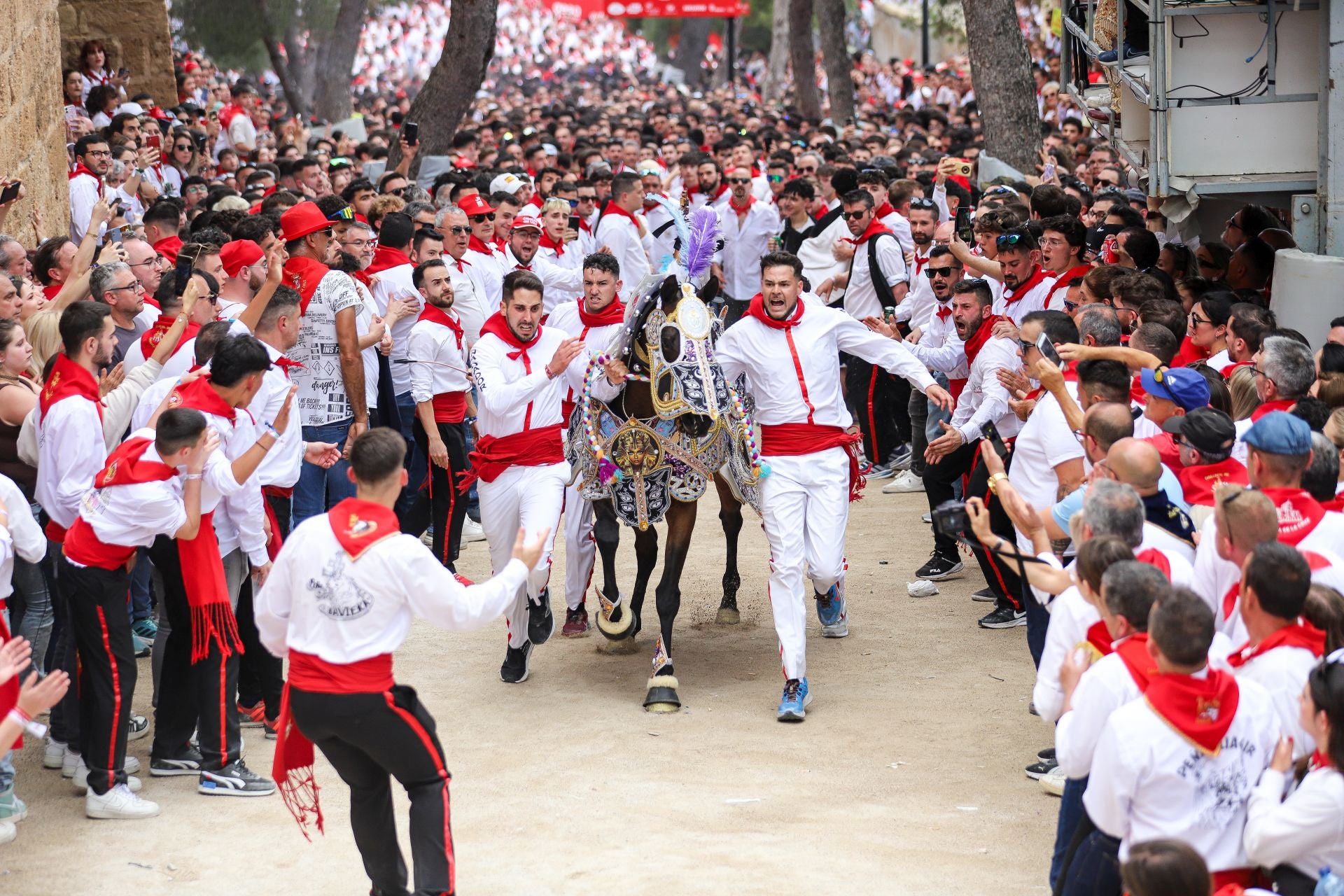 La carrera de los Caballos del Vino 2025, en imágenes