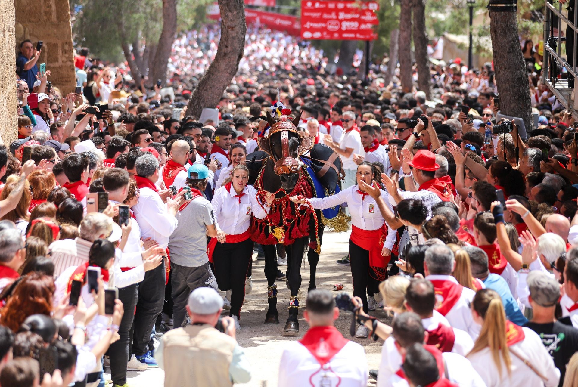 La carrera de los Caballos del Vino 2025, en imágenes