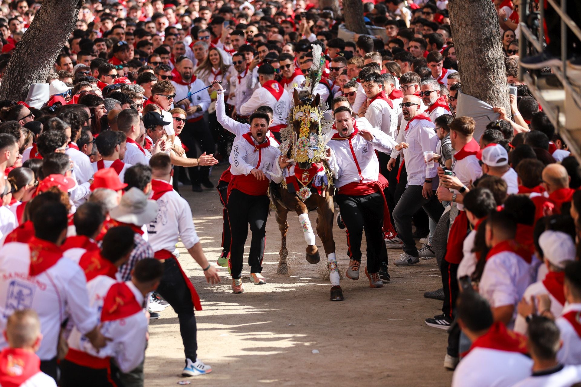 La carrera de los Caballos del Vino 2025, en imágenes