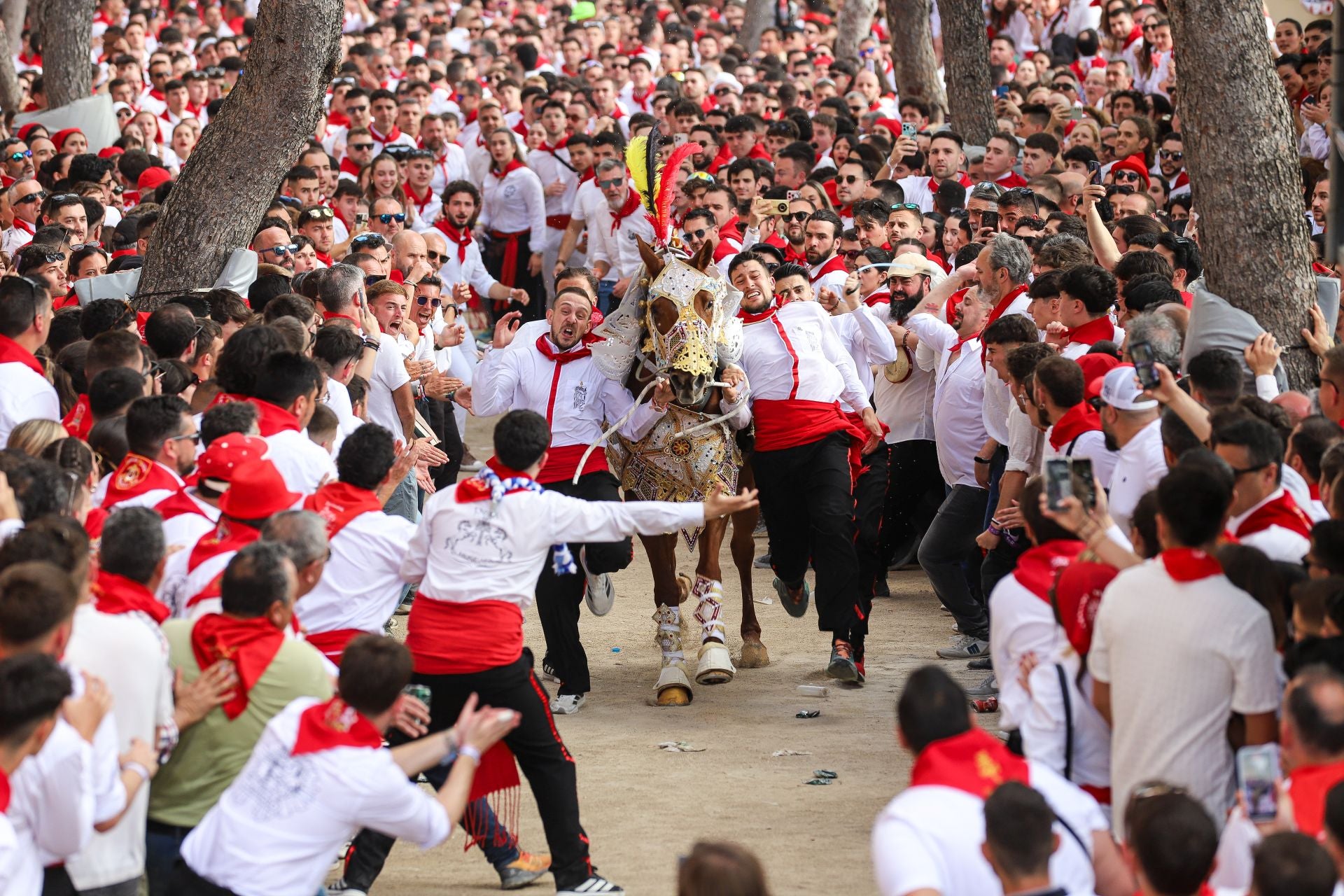 La carrera de los Caballos del Vino 2025, en imágenes