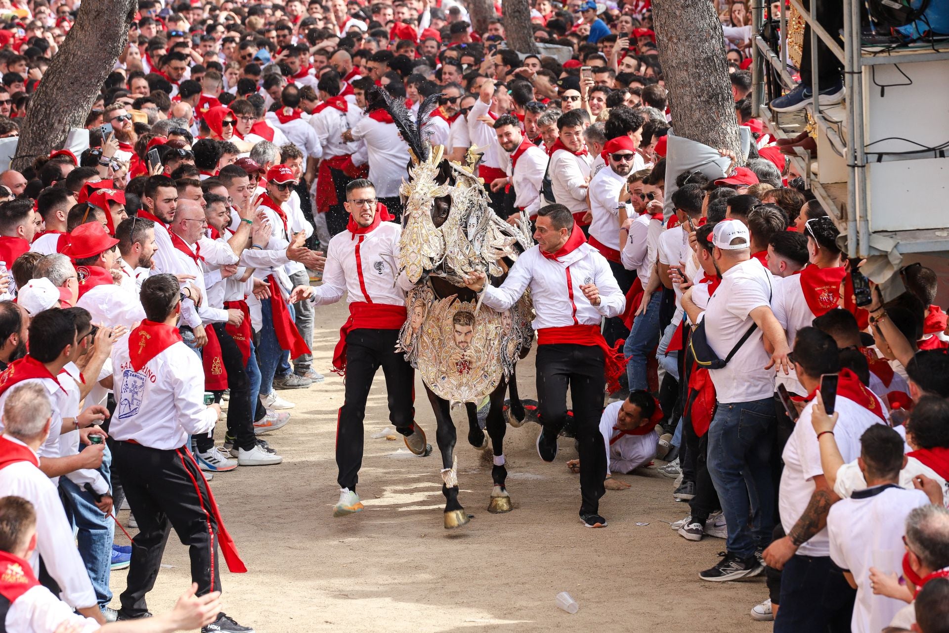 La carrera de los Caballos del Vino 2025, en imágenes
