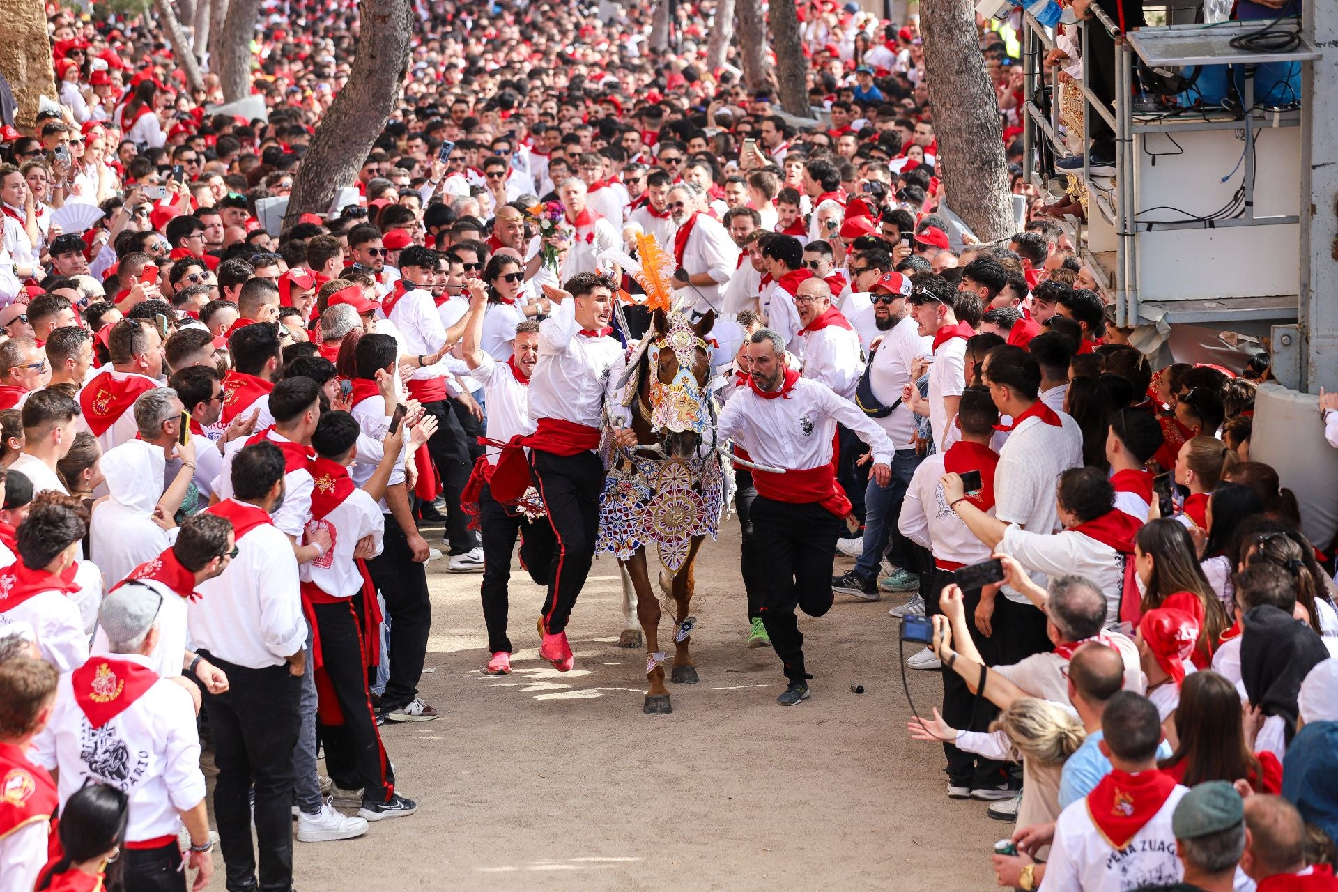 La carrera de los Caballos del Vino 2025, en imágenes