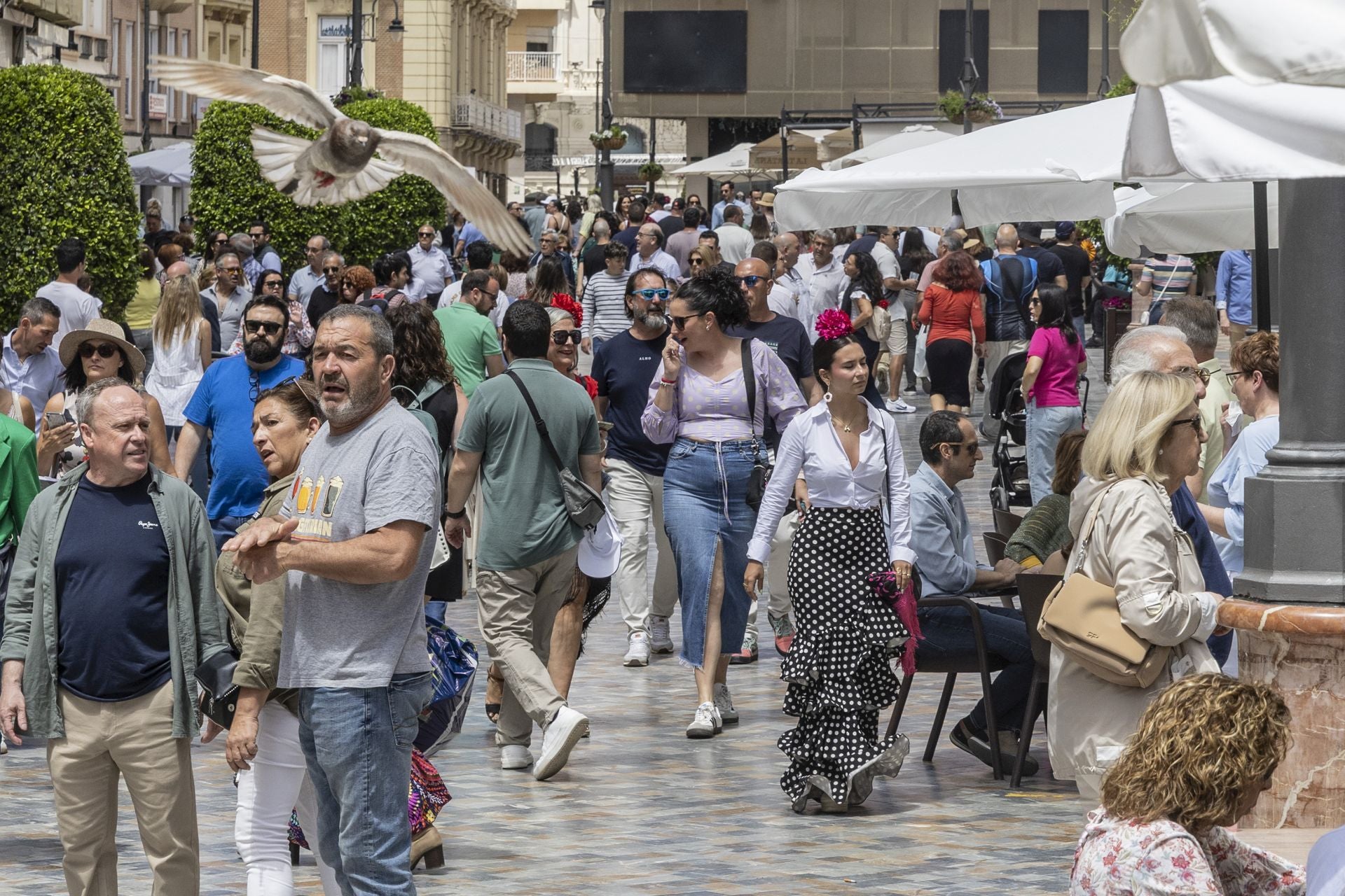 La fiesta de las Cruces de Mayo de Cartagena, en imágenes