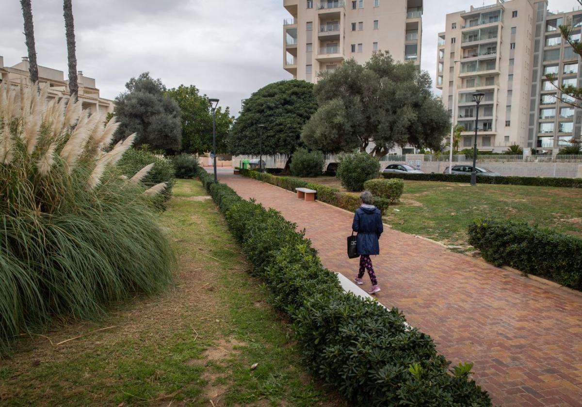 El alcalde de Torrevieja anuncia más espacios verdes y 15.000 nuevos árboles
