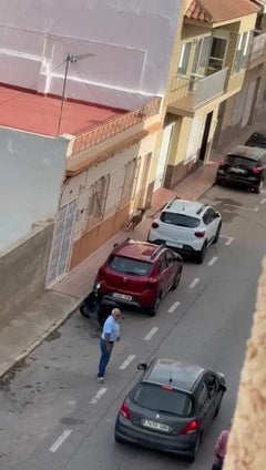 Dos cabras montesas irrumpen en el casco urbano de Águilas