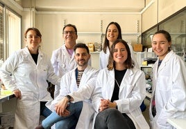 Los miembros del equipo de Inmunidad, Inflamación y Cáncer de la Universidad de Murcia a cargo de la investigación.