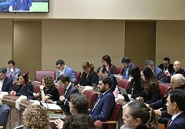 Diputados regionales, durante una sesión del Pleno de la Asamblea.