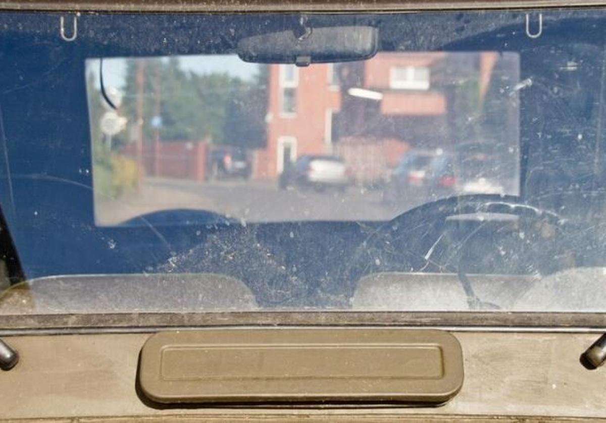 Cómo limpiar las manchas de mosquitos del coche | la verdad