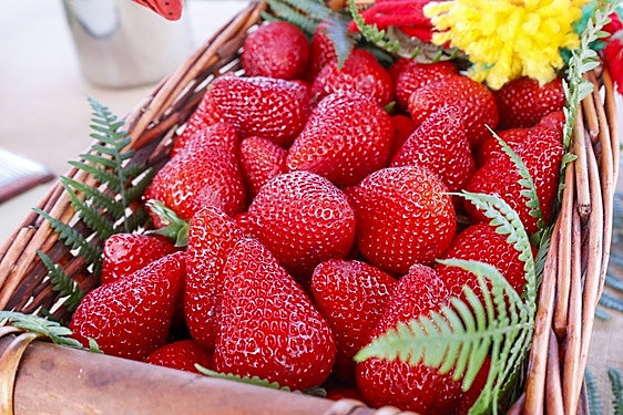 Fresas.