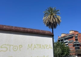 La pintada, en la calle Atocheros de Murcia.