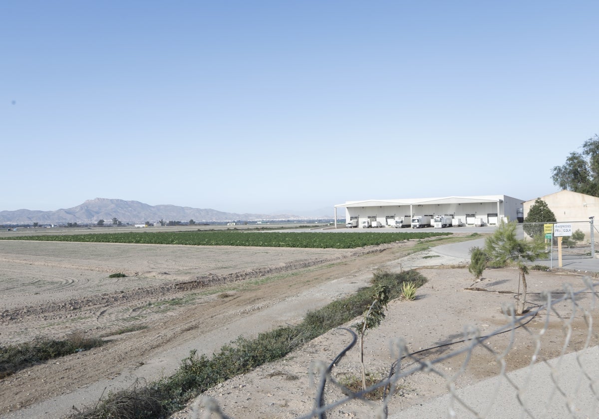 El ayuntamiento de lorca pierde el recurso contra los planes de riesgo de inundación ante el tribunal supremo | la verdad