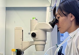 La especialista Carolina Aguilera seleccionando midroesferas con ayuda de microscopio.